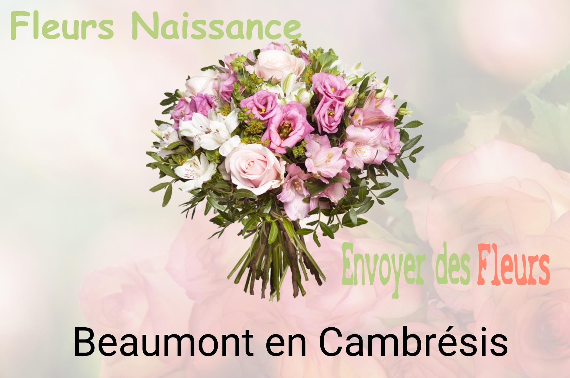 Bouquet de fleurs de naissance livré à Beaumont-en-Cambrésis
